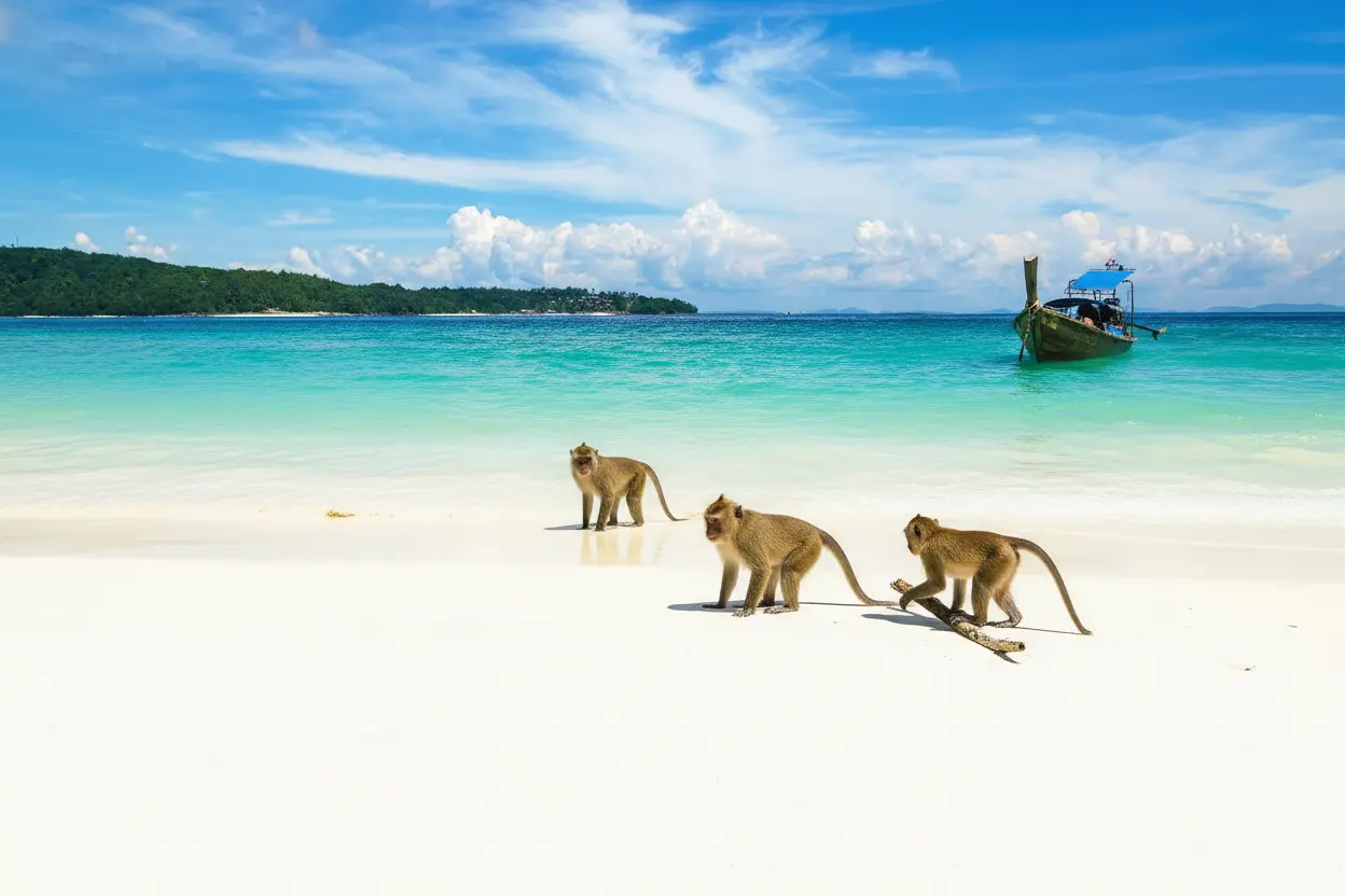 Monkey beach Koh Larn